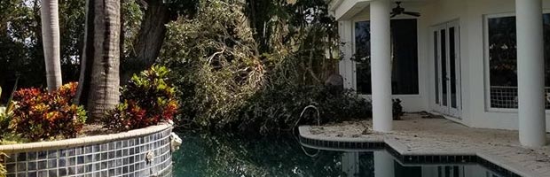 Storm Cleanup Services
