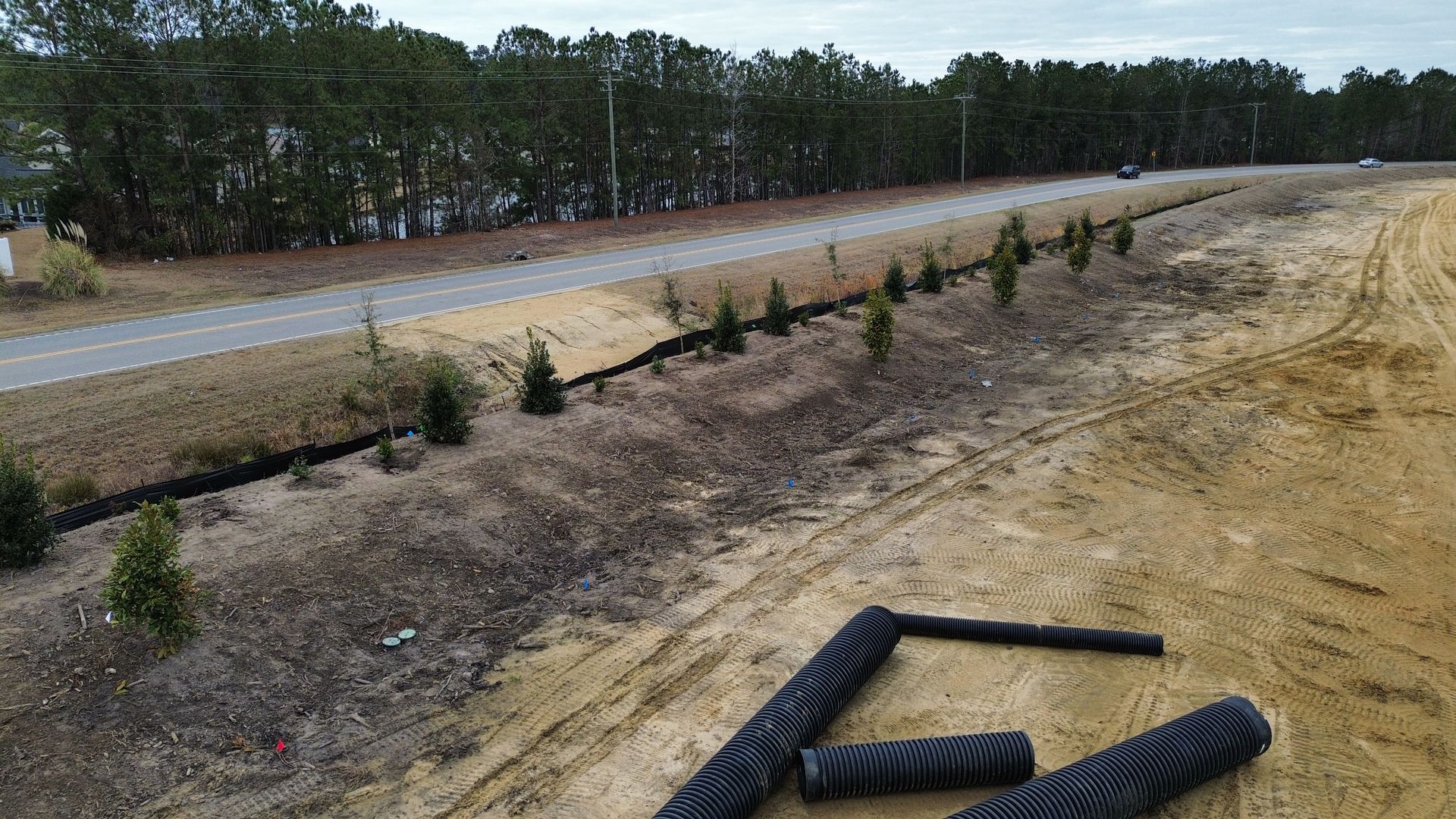 Roadside construction with newly planted trees, ditch, and black drainage pipes.