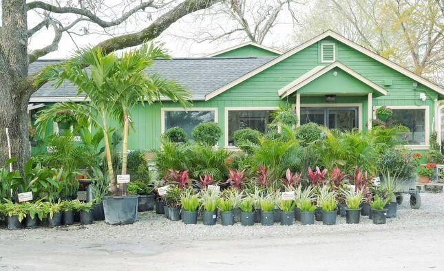 Green building, surrounded by potted plants, at a garden center.