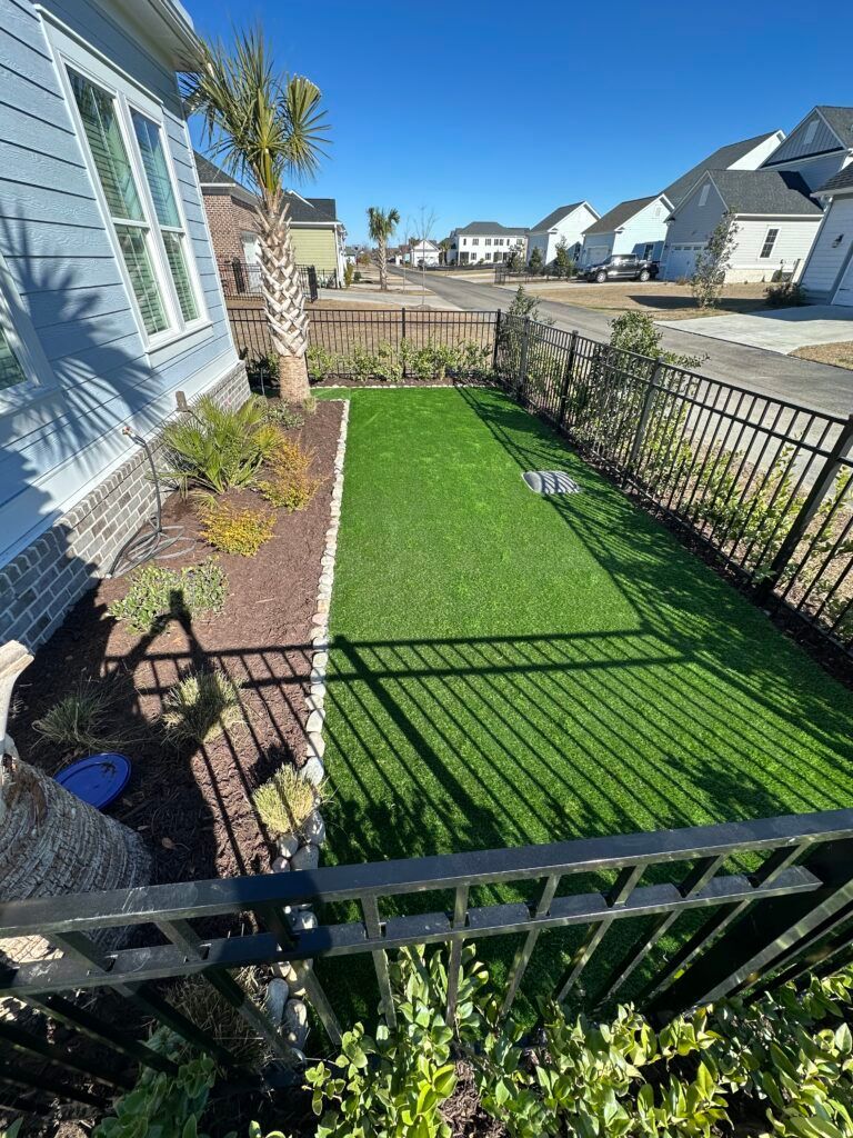 A small yard with green turf, bordered by a black fence and a house. Palm tree visible.