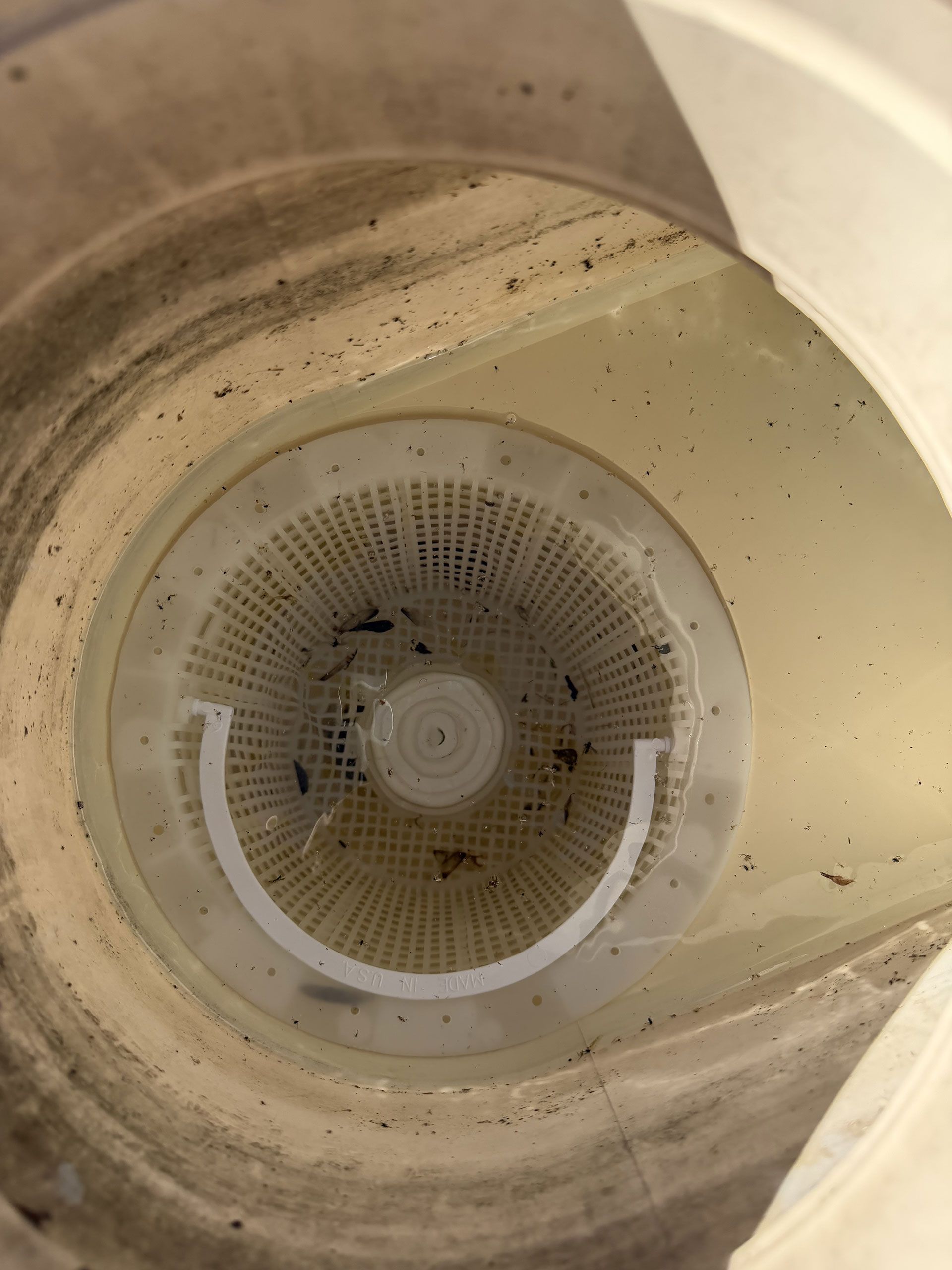 Dirty white plastic filter or drain cover inside a beige bucket or sink basin