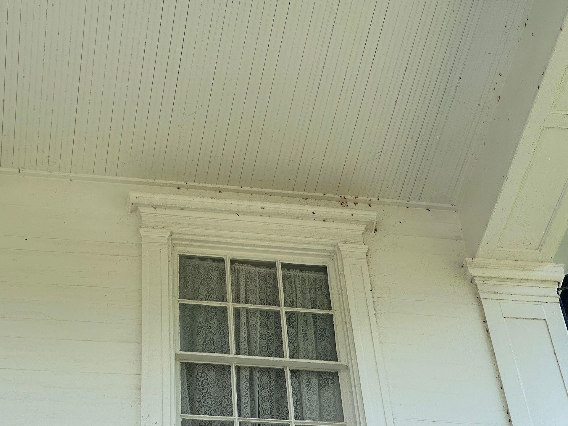 White house exterior with a window and decorative trim under the roof eave