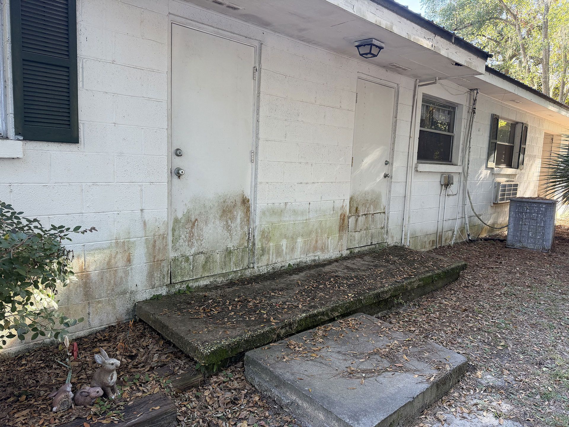 Mold-stained exterior wall with a raised ramp, concrete step, and two trash bins beside a white house