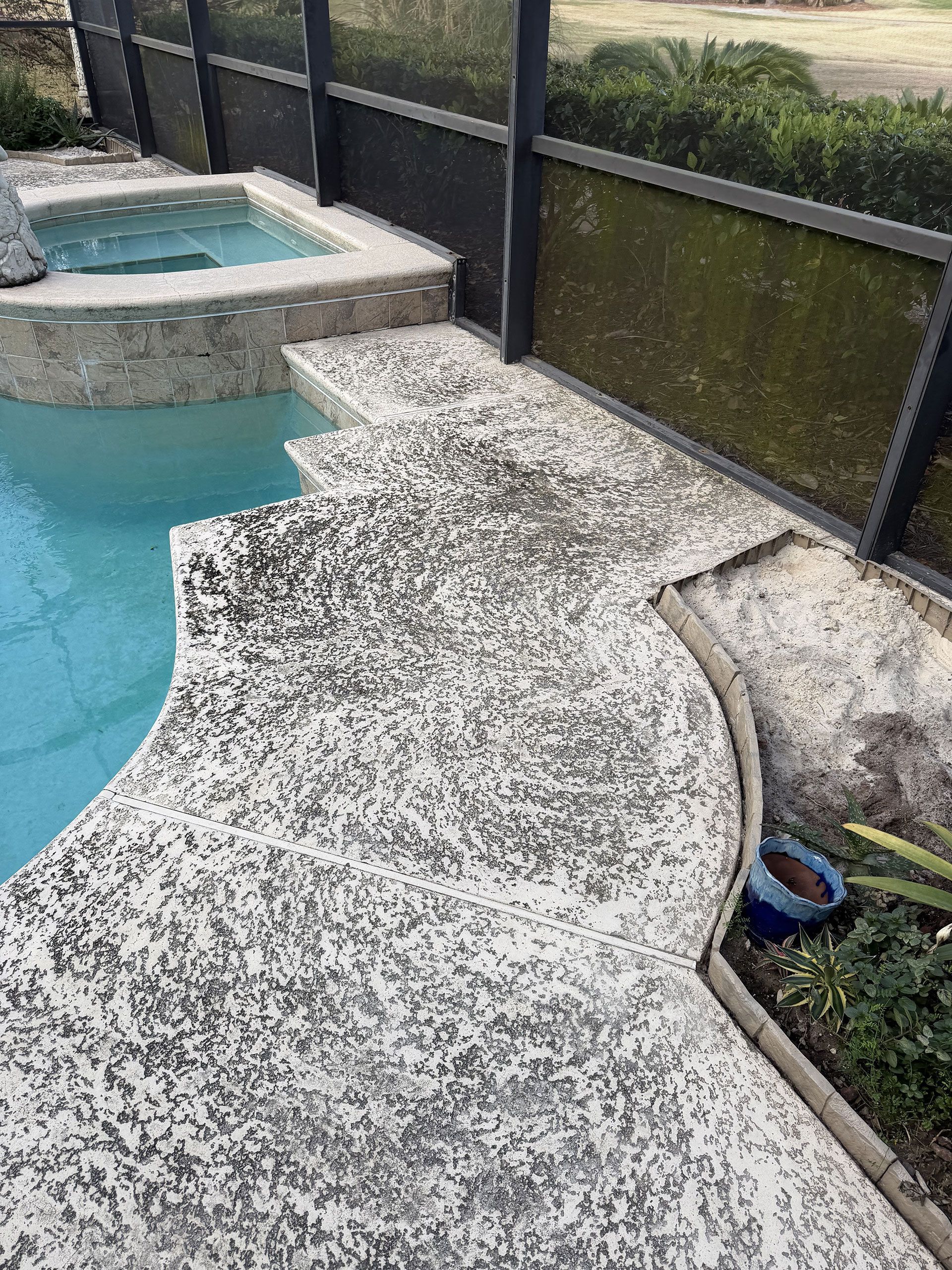 Curved stone pool deck beside a blue swimming pool and black fence with green privacy screen