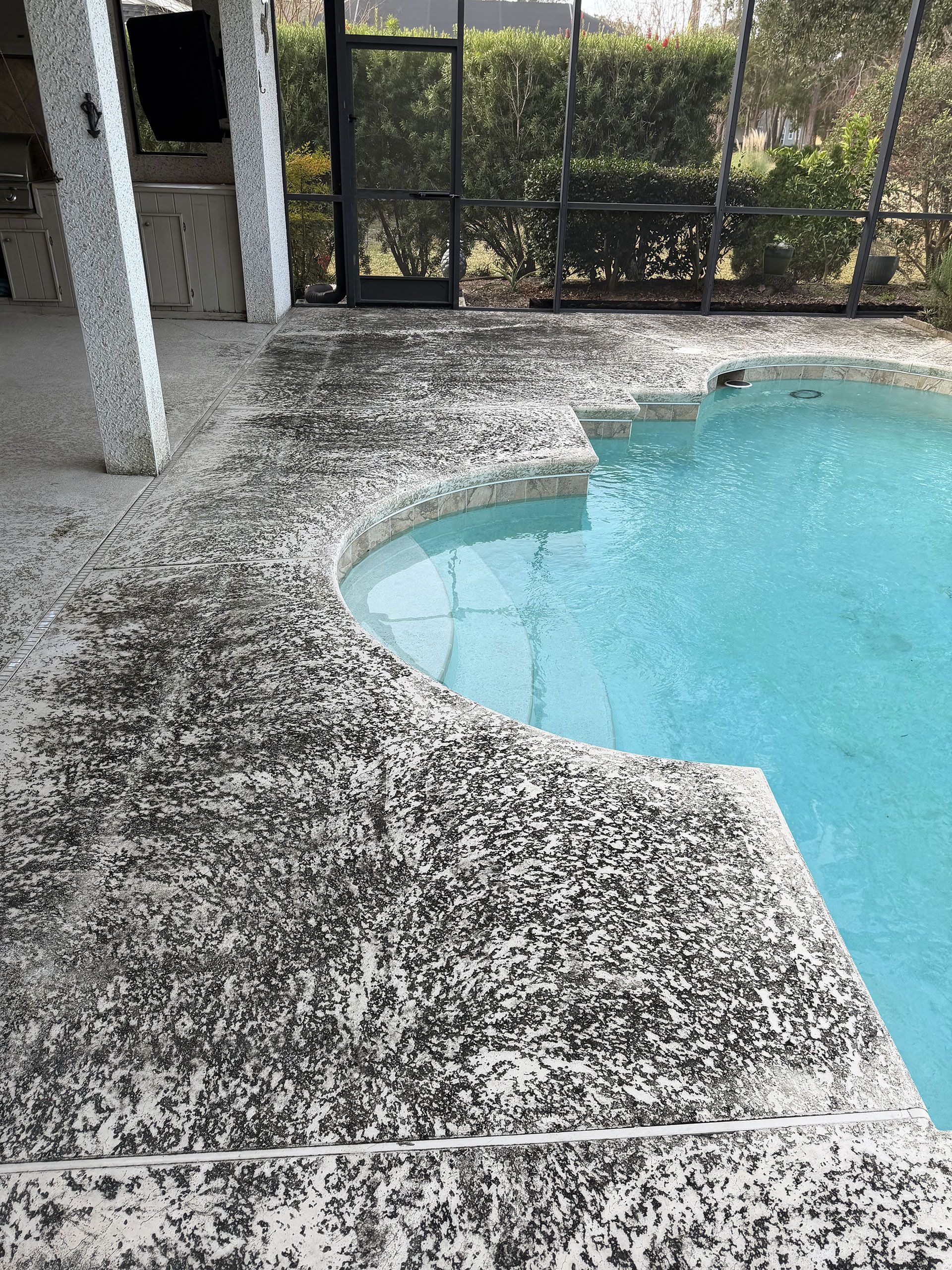 Poolside patio with speckled concrete and a curved blue swimming pool