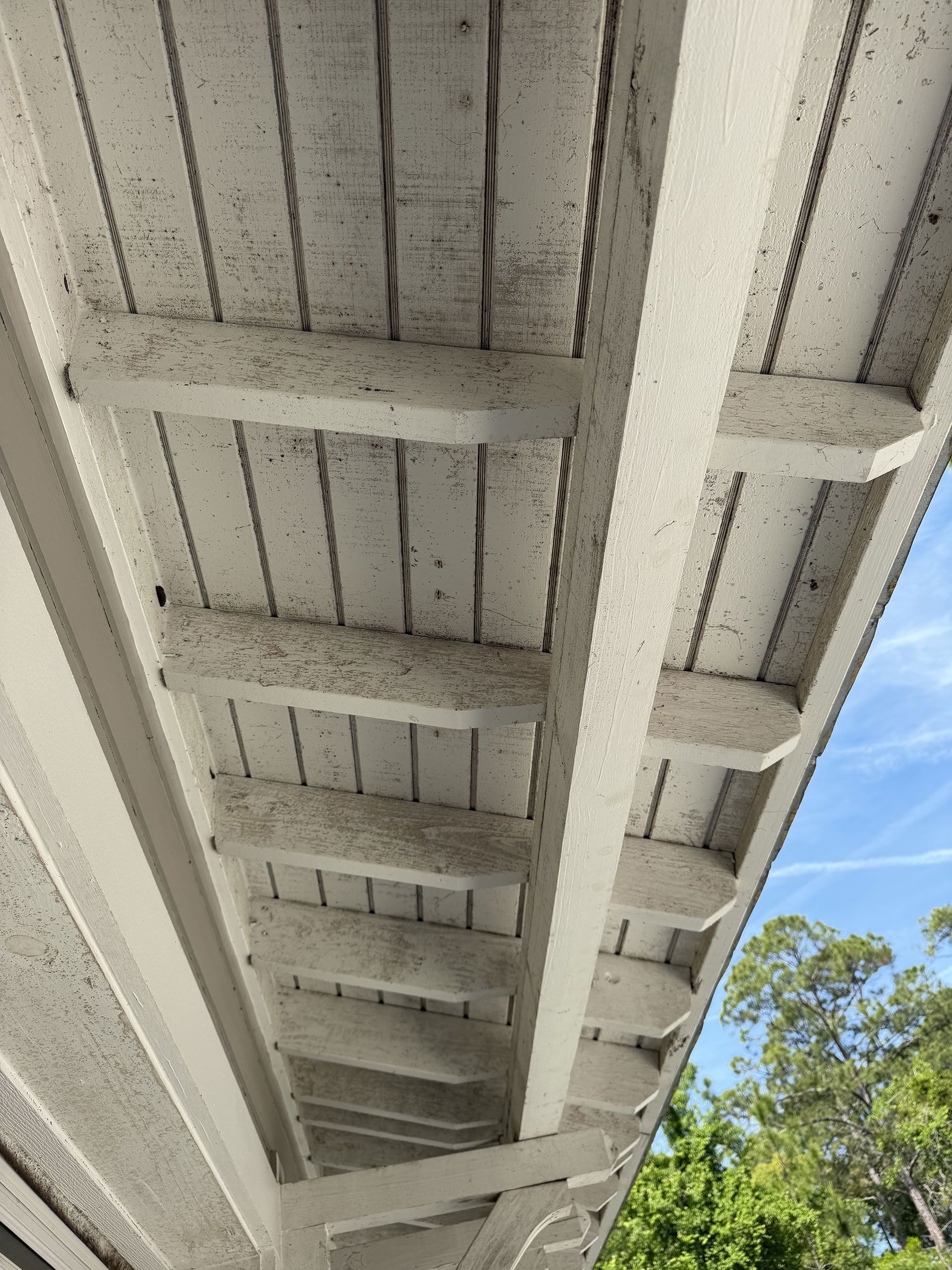 Underneath a white wooden deck with beams and a blue sky visible at the edge.