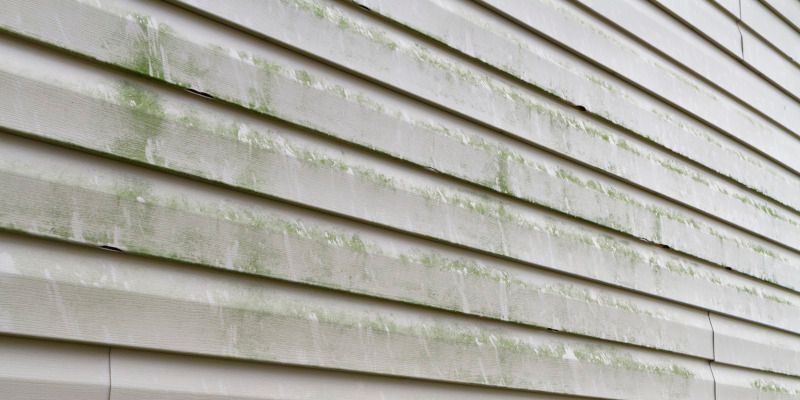 White house siding with green algae staining on the lower panels