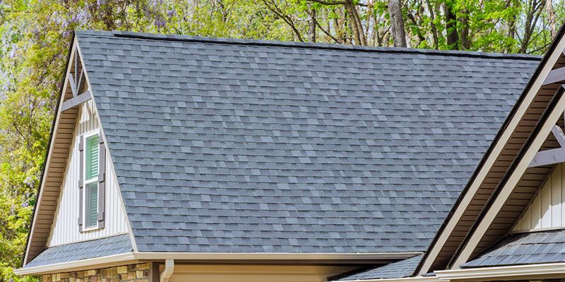 Close-up of a gray shingled house roof with dormer windows and surrounding trees