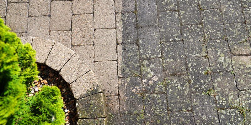 Paved walkway with a curved stone border beside a bright green shrub and cobblestone pavement