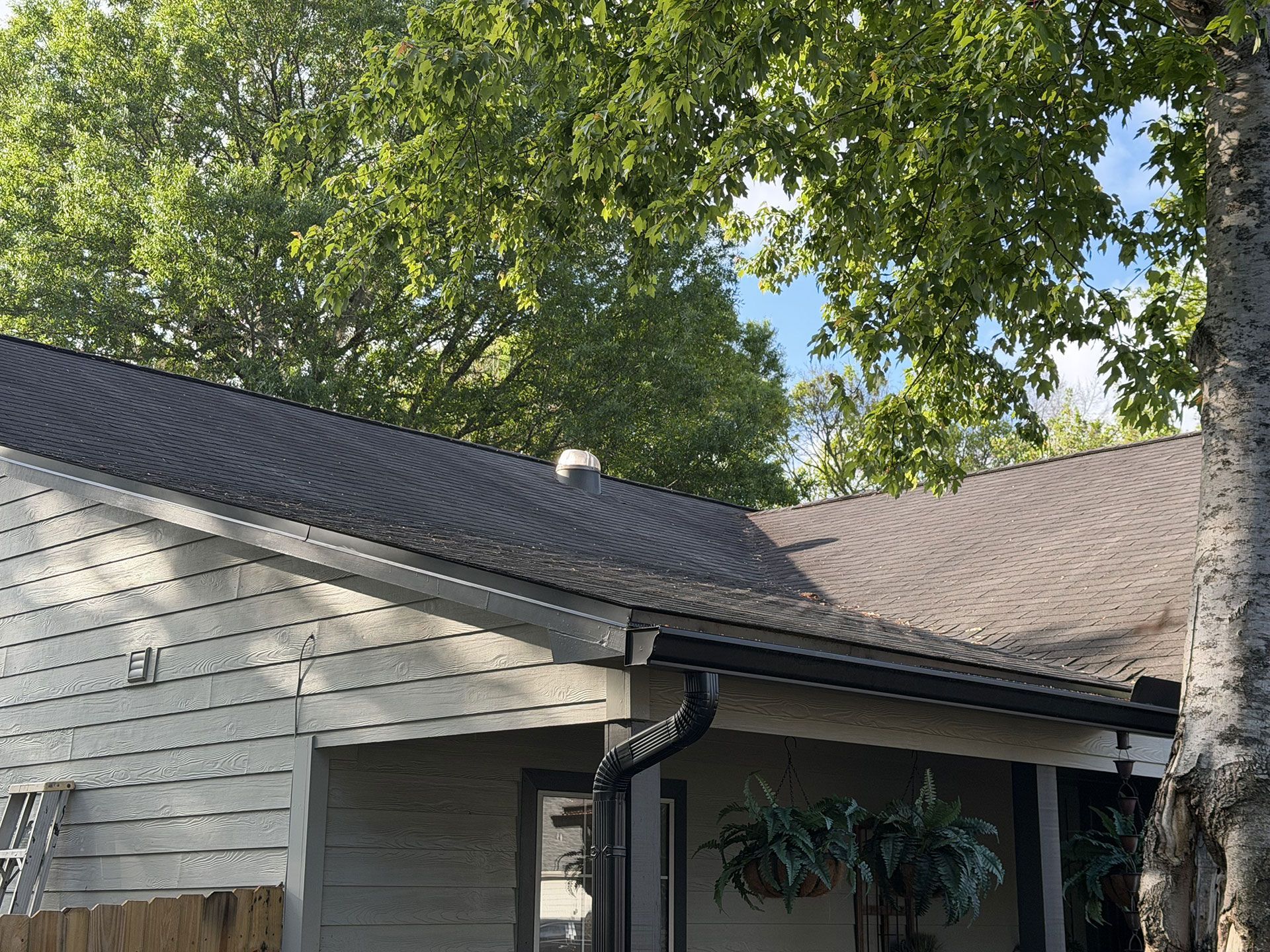 Single-story house with gray siding and dark roof under leafy green trees