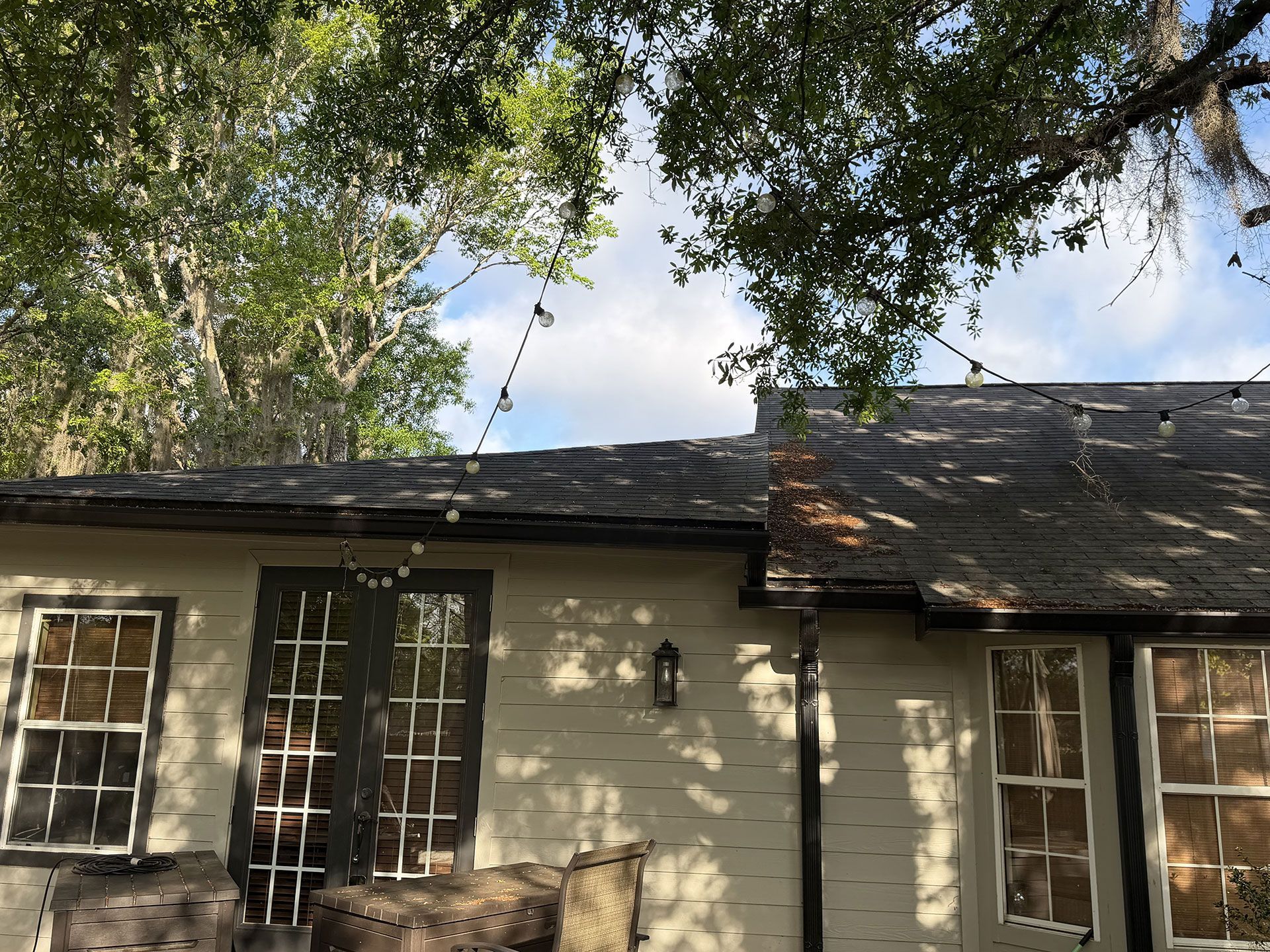 House exterior with white siding, dark roof, and tall trees overhead