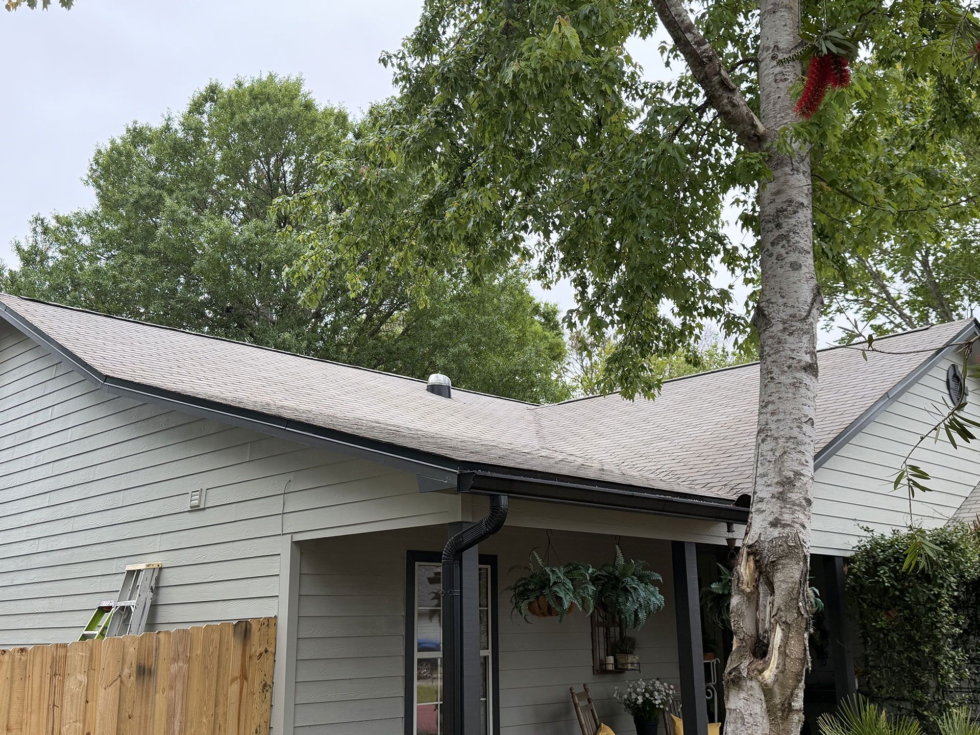 Gray house with curved roof, wooden fence, and a tree in the foreground under cloudy skies