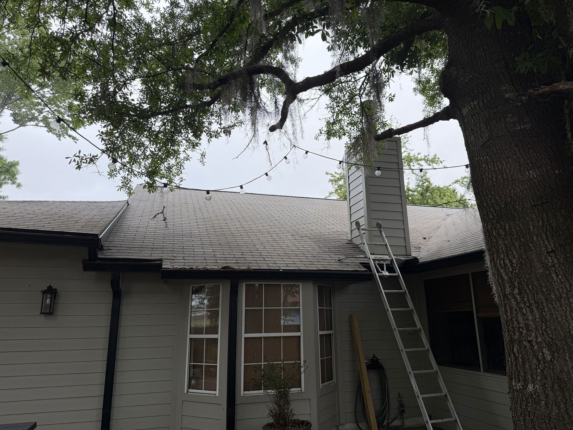 House roof with storm damage under a tree, with a ladder leaning against it