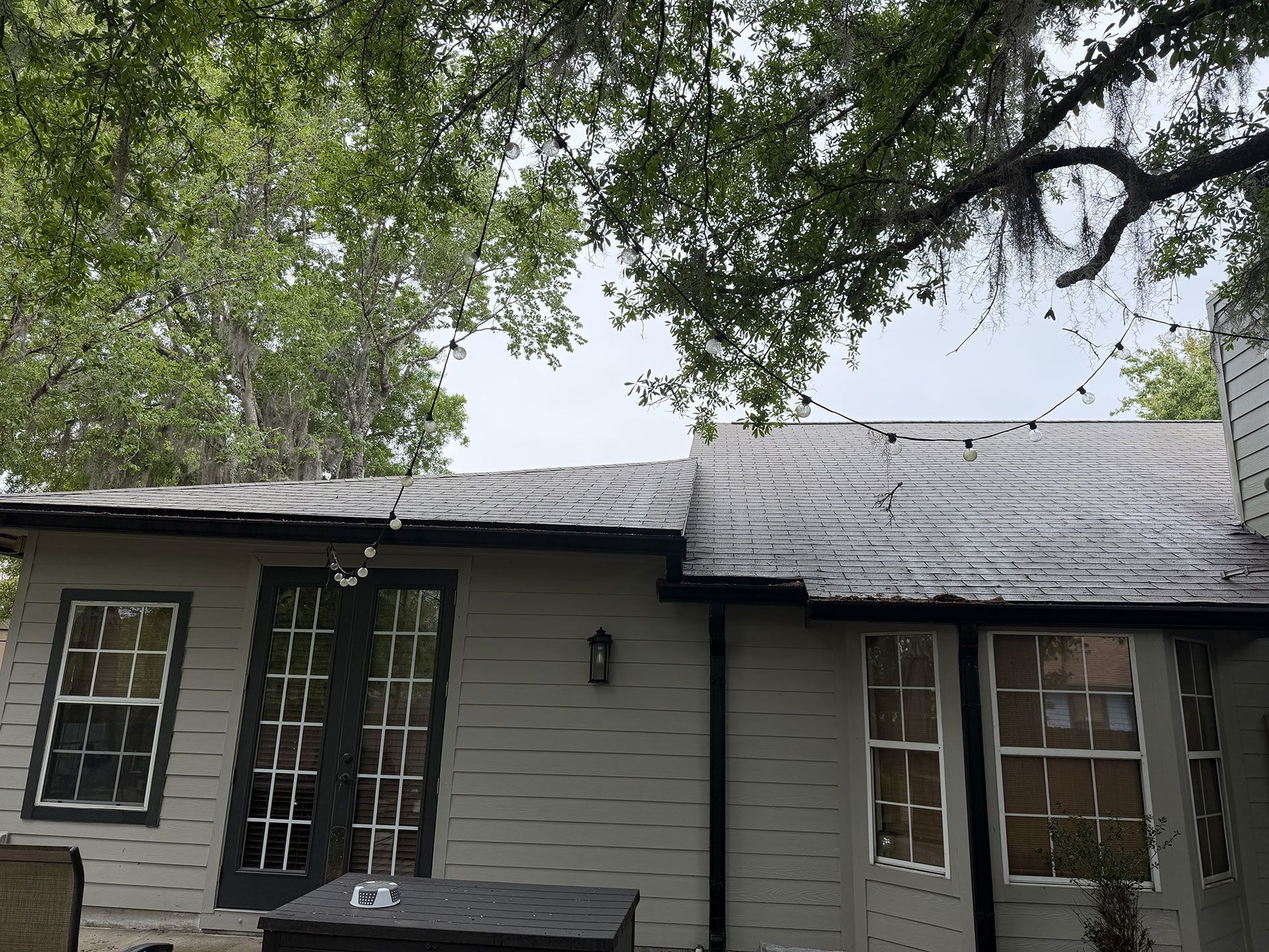 House exterior with gray siding, black doors, and a dark shingled roof beneath leafy tree branches