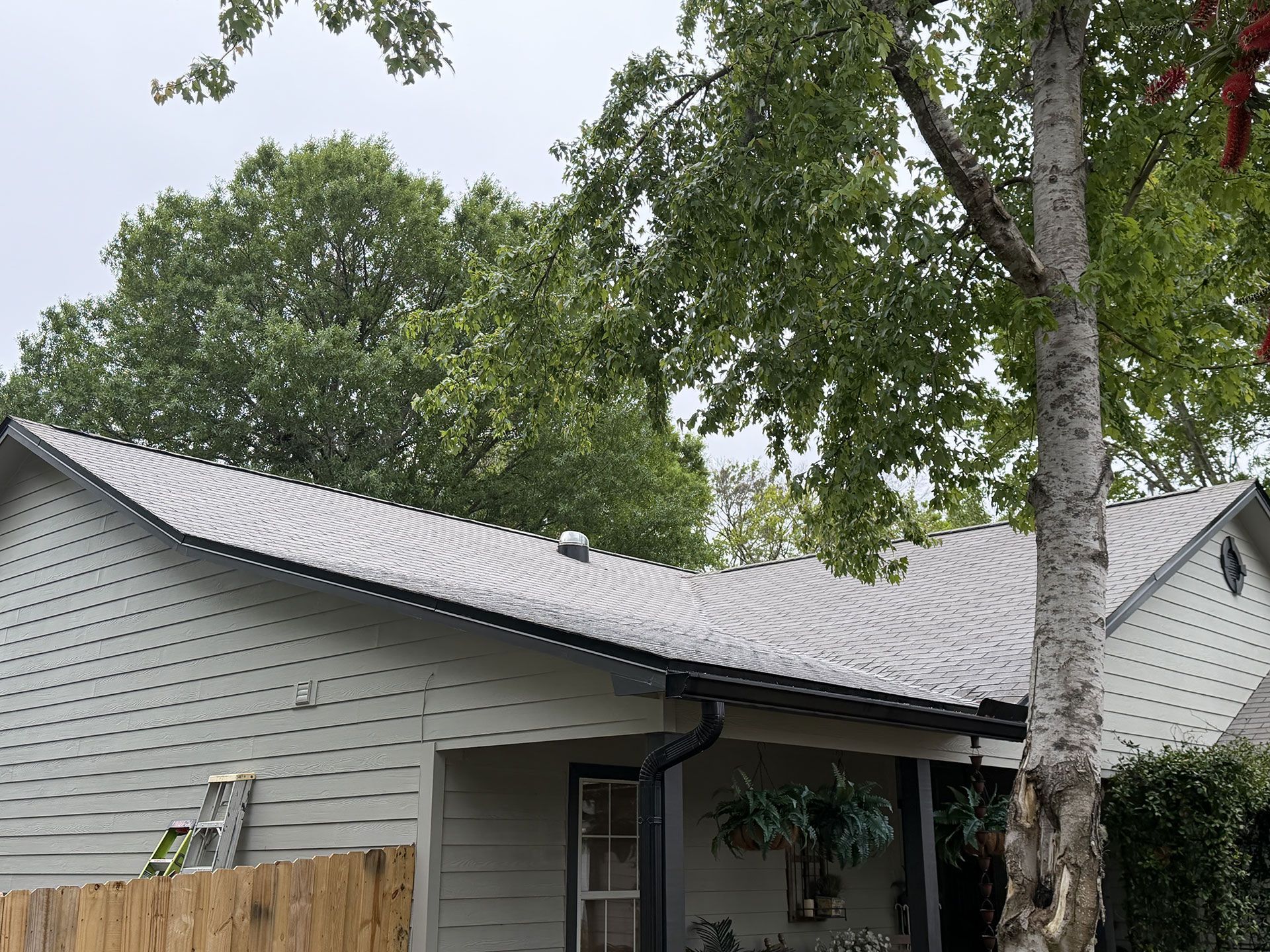 Gray house with a white metal roof and trees in the yard