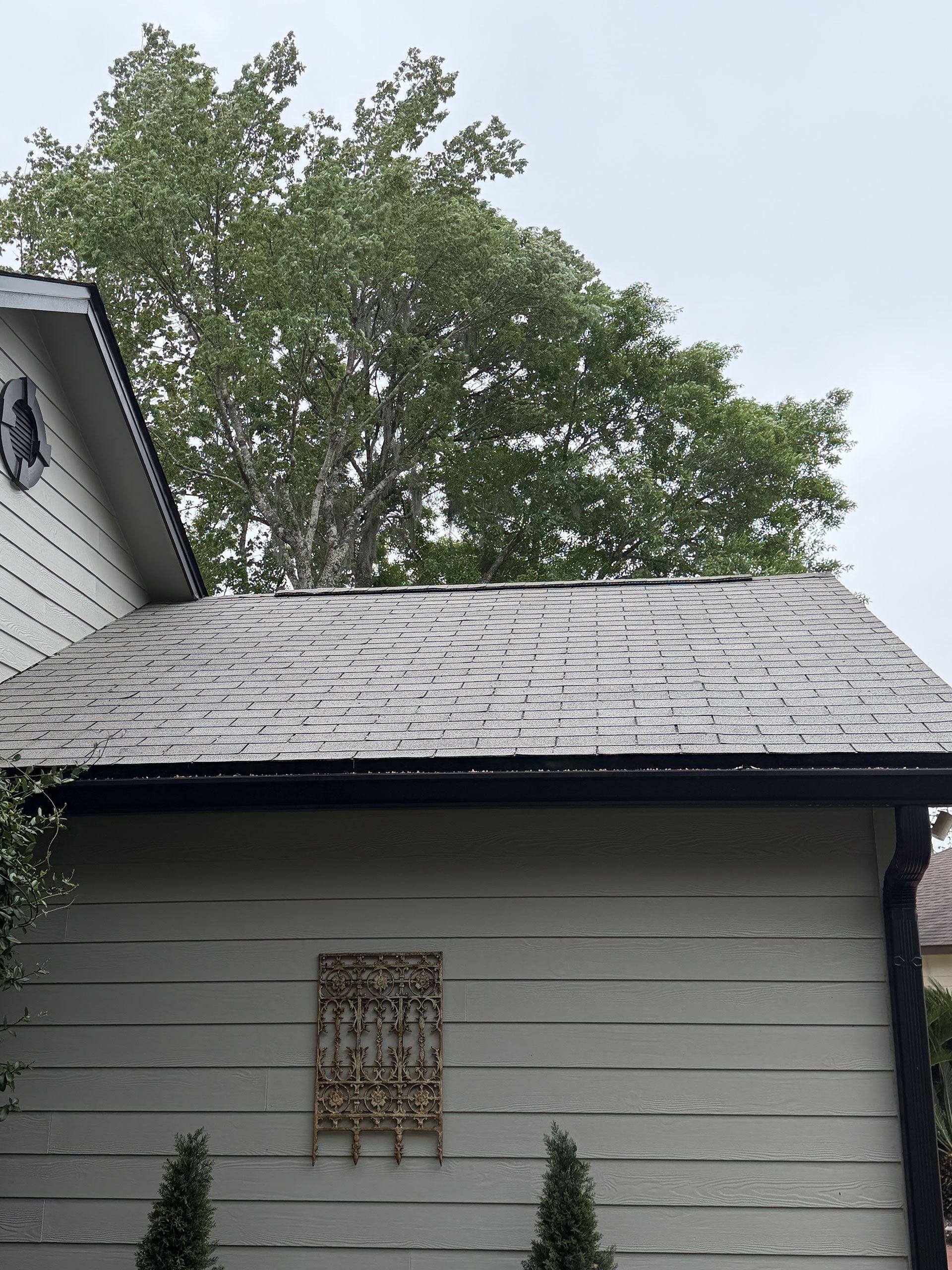 Gray house roof with scattered dark patches and a small barred window under a leafy tree