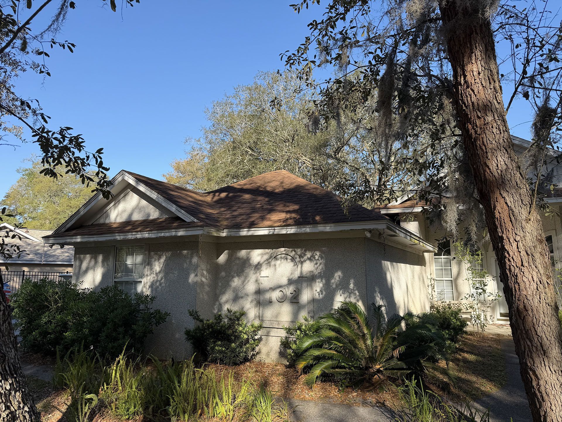 Small white house with a shingled roof, surrounded by trees and shrubs in a sunny yard