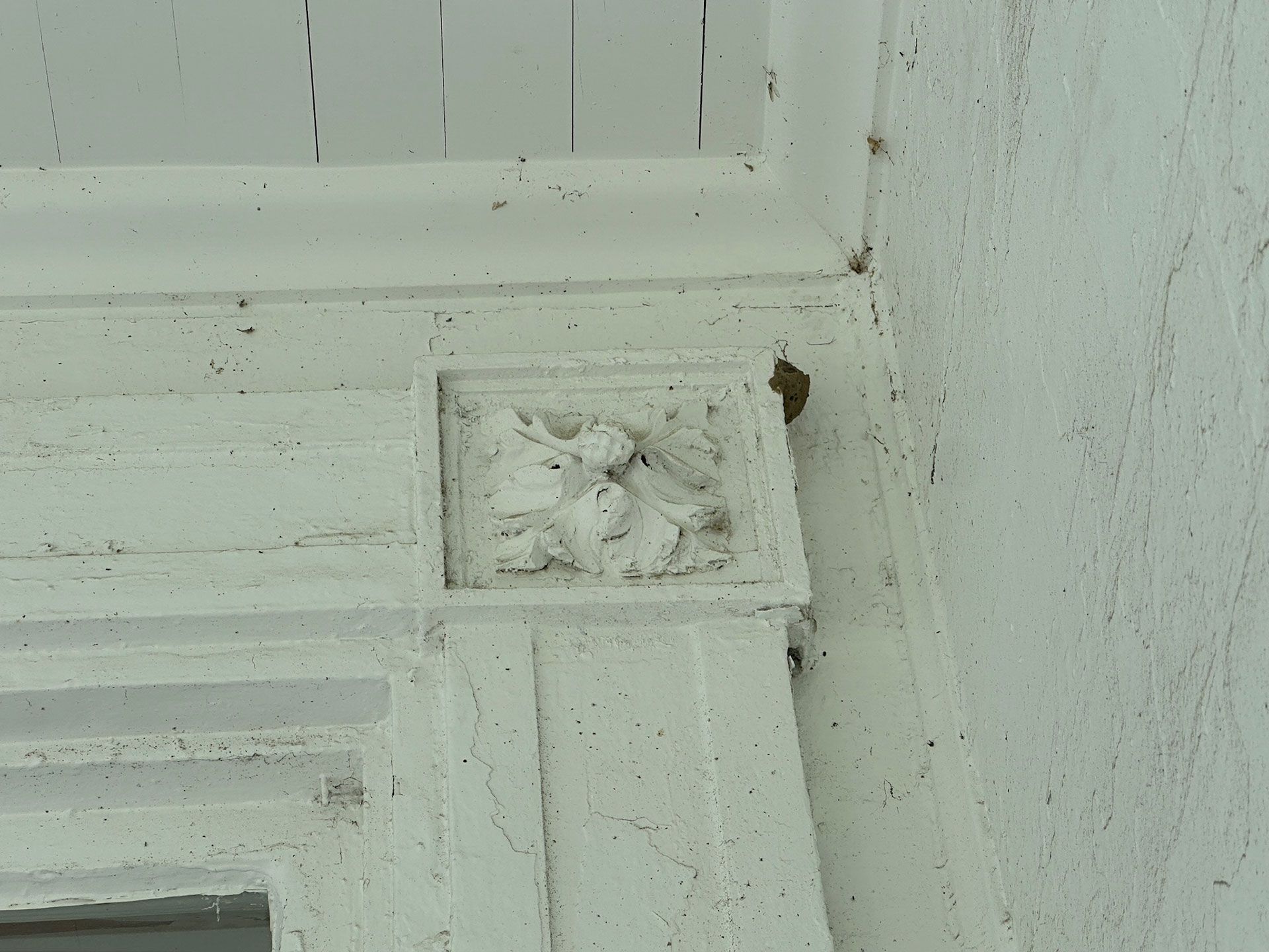 White ceiling corner with a recessed vent and a small dark insect on the wall edge