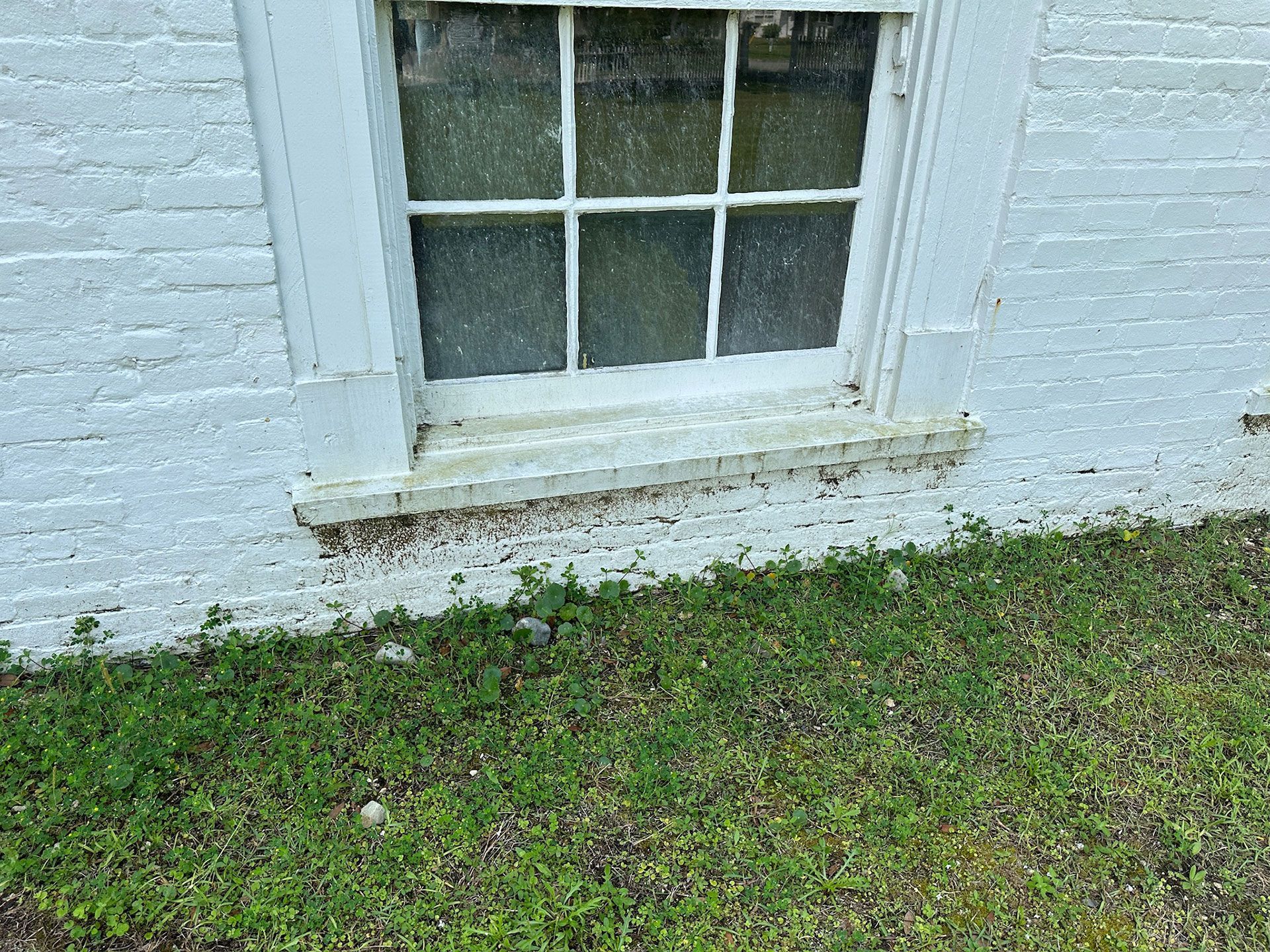 White brick house wall with a window and shutters above a grassy yard.