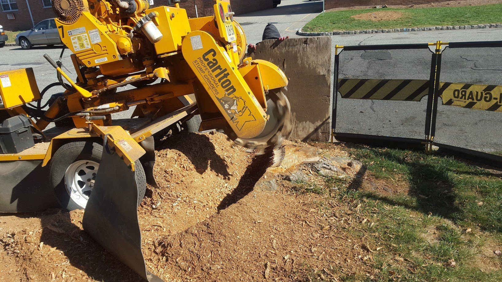stump grinding