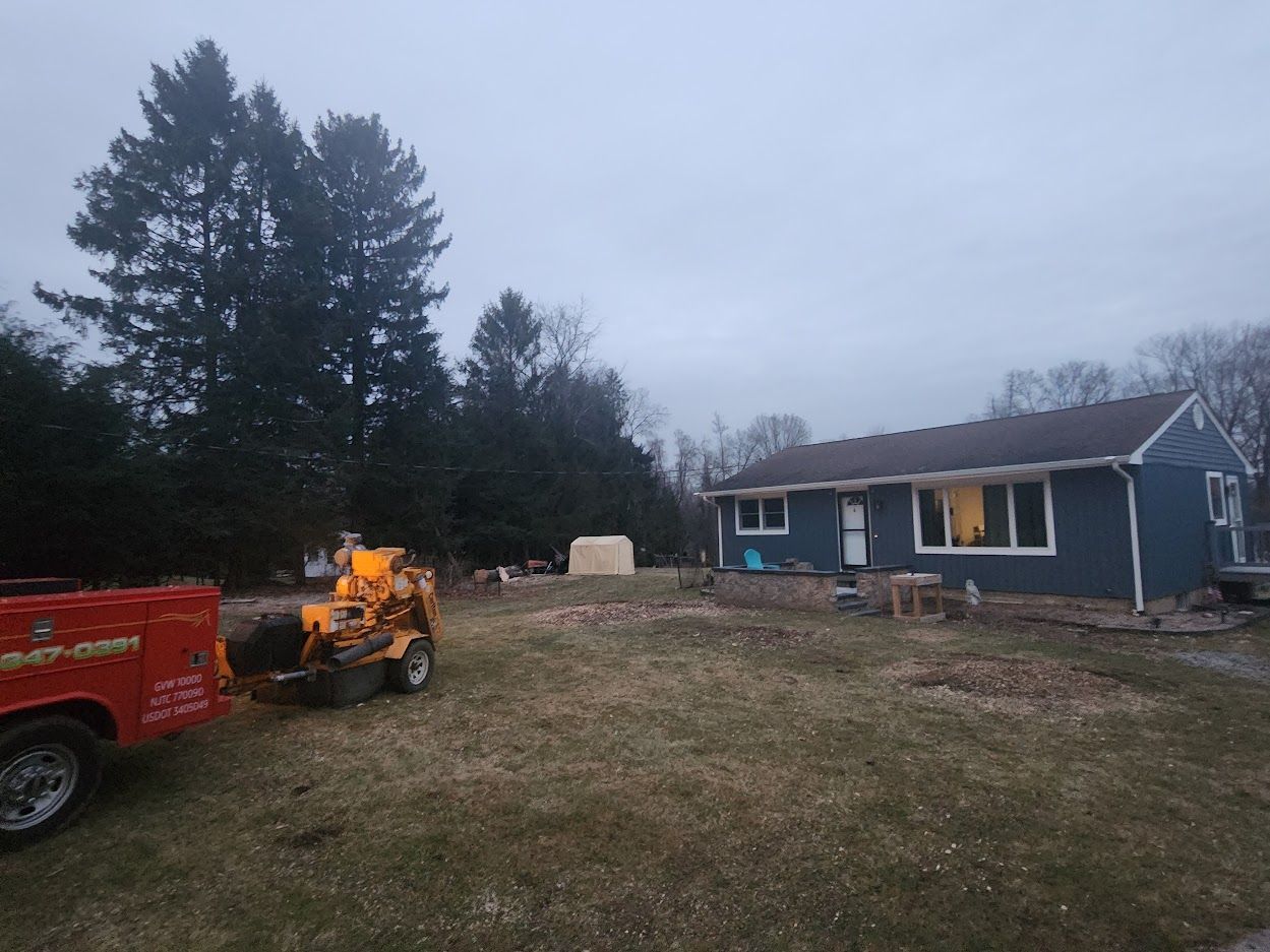 Tree care and maintenance