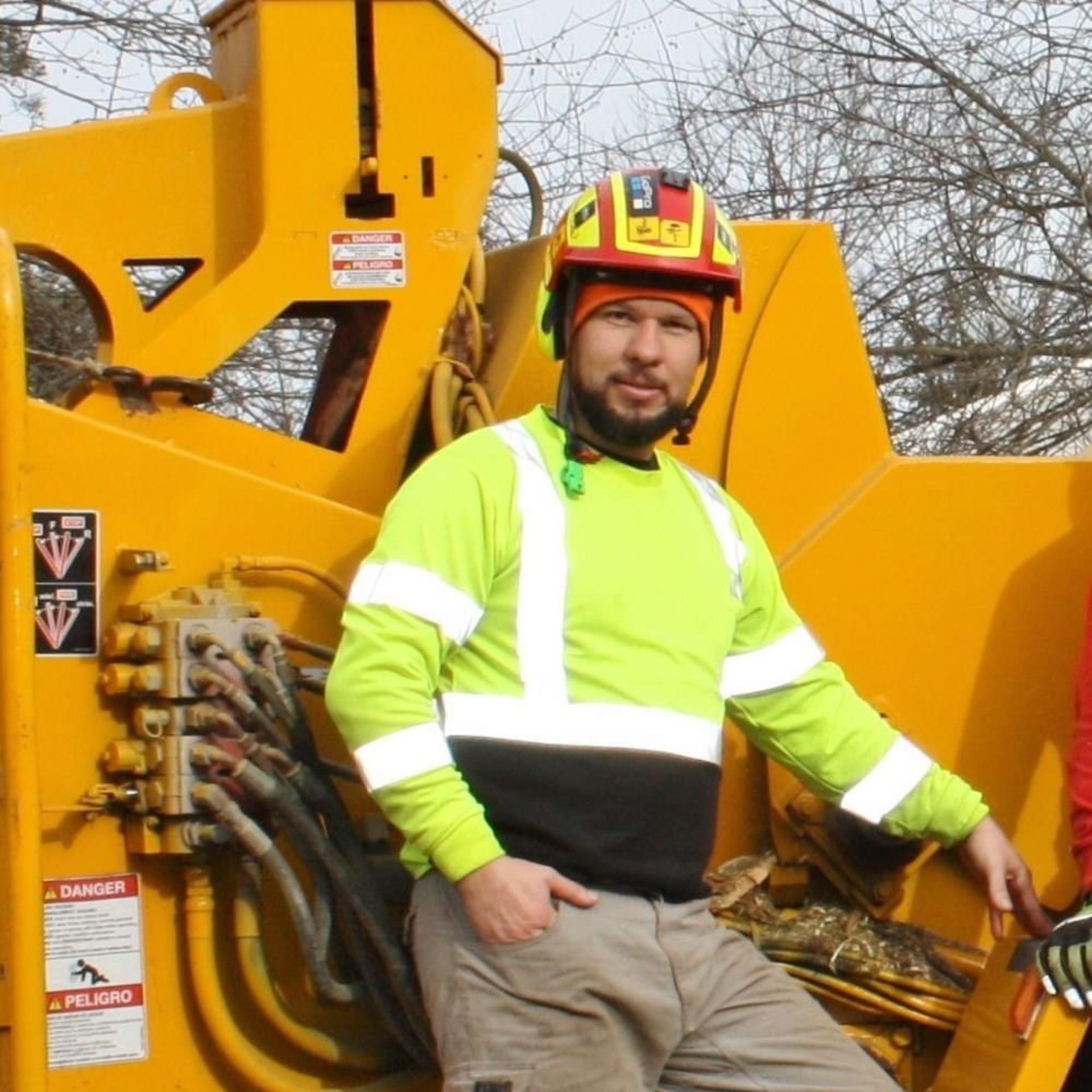 Tree maintenance crew