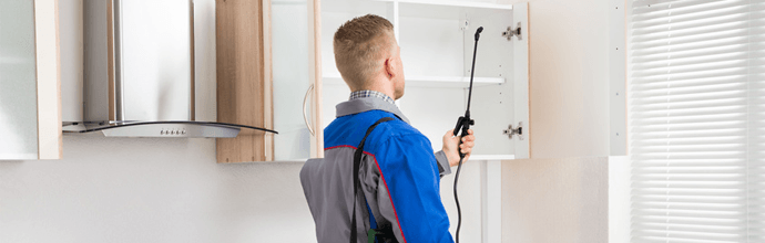 Residential Pest Removal