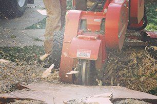Stump grinding service