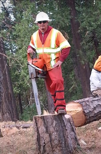Cutting the tree-trunk by tree trimmer