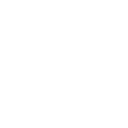 Fireworks - icon