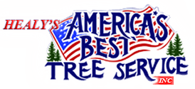 Healy's America's Best Tree Service logo