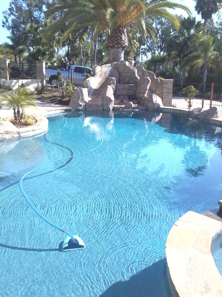 A large swimming pool with a palm tree in the background