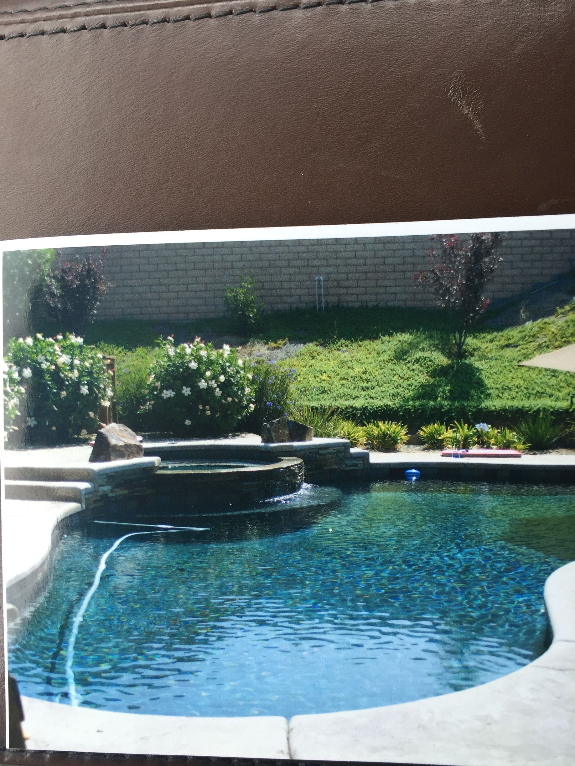 A picture of a large swimming pool in a backyard