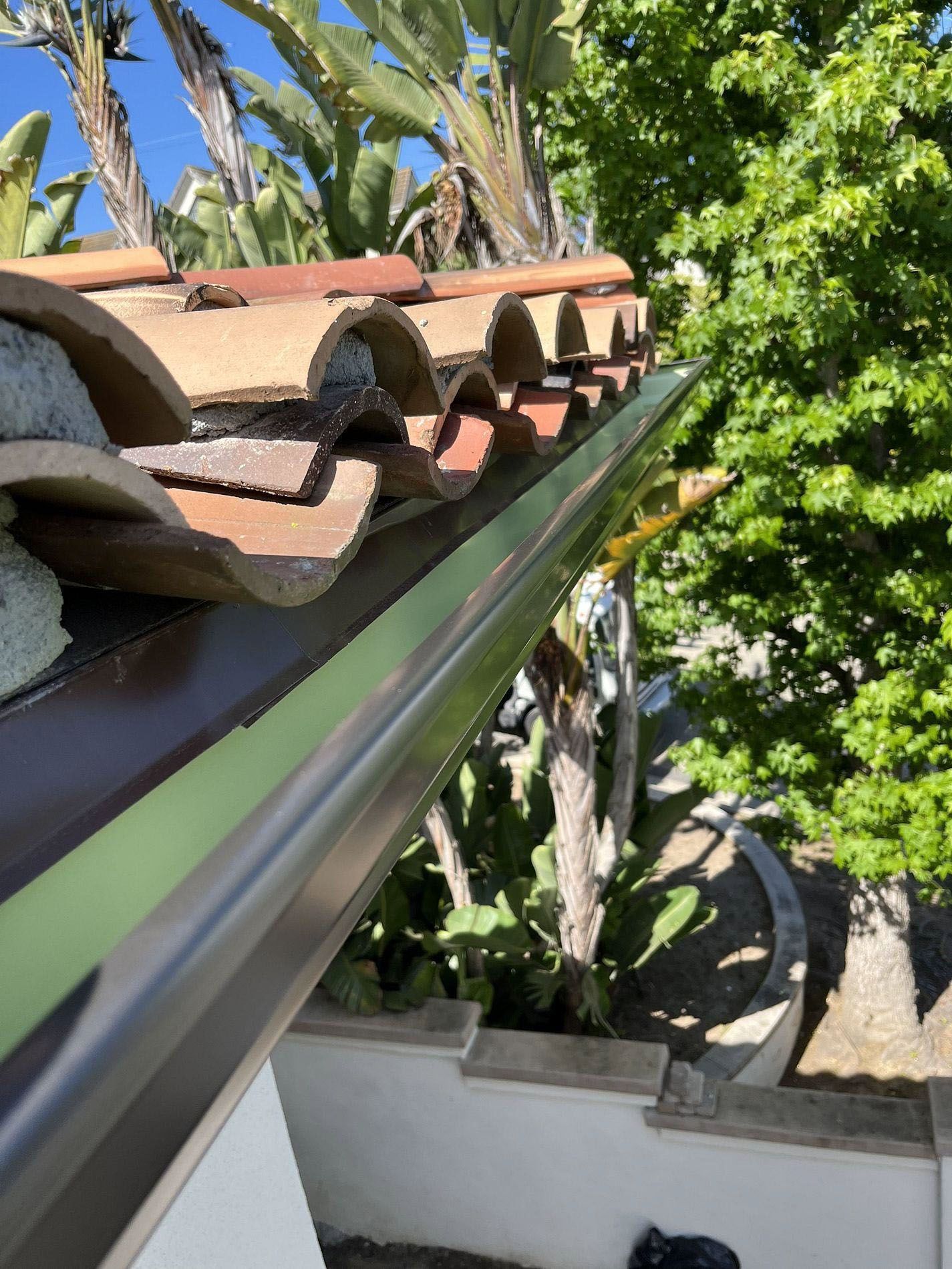 Close-up of red roof tiles and gutter beside palm trees and a white wall in bright sunlight
