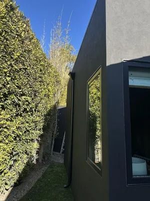 Narrow outdoor passage beside a tall hedge and dark modern building with a window.