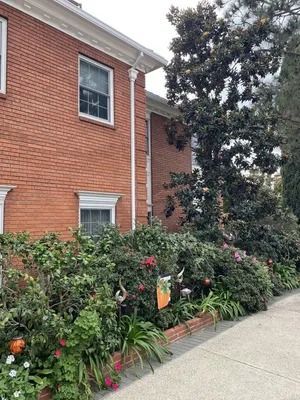 Brick building beside a sidewalk, lined with lush flowering shrubs and a tall tree.