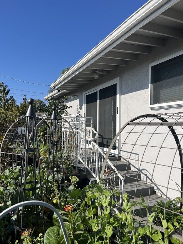 Backyard garden with raised beds, arched trellises, and a house exterior in sunlight