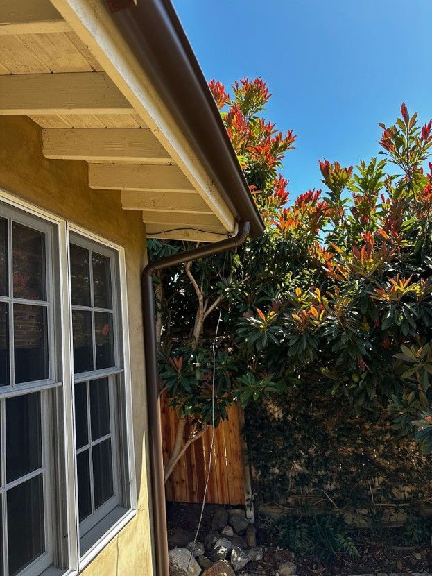 House side wall with window beside a wooden fence and leafy red-green trees under a blue sky