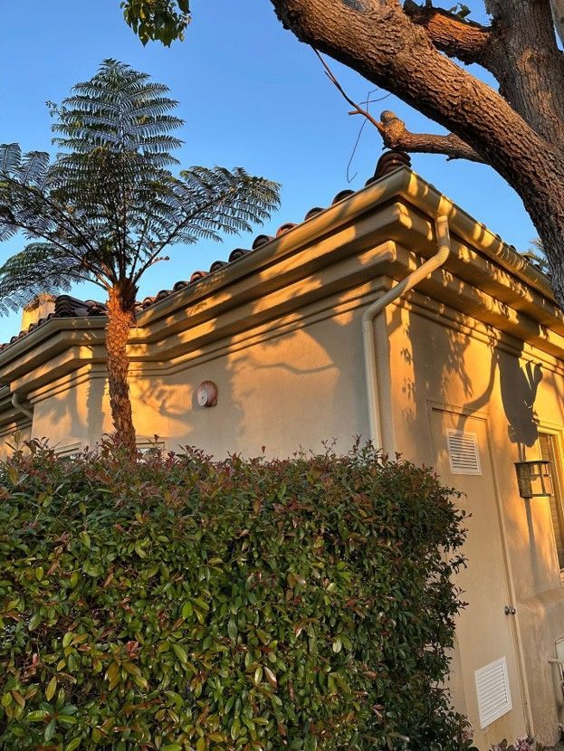 Sunlit beige building with decorative roof trim, hedge, and tall tree against a blue sky