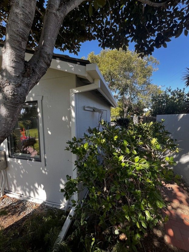 Small white house exterior with a large tree, shrubs, and a sunny blue sky