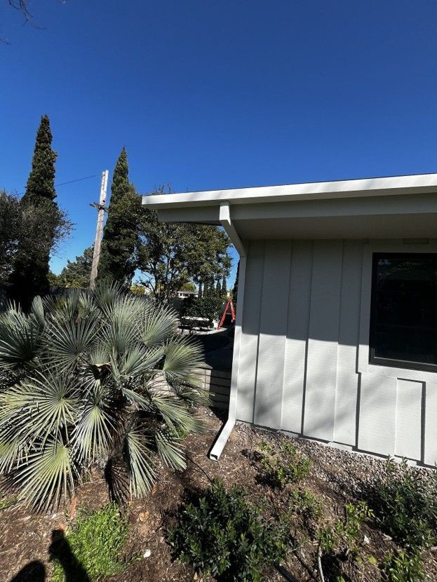 Desert landscaping beside a gray house under a clear blue sky, with tall cypress and a fan palm.