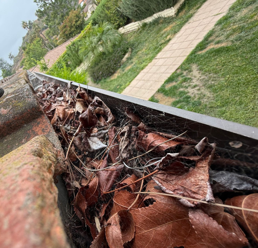 Rain gutter filled with wet brown leaves beside a grassy walkway and concrete path