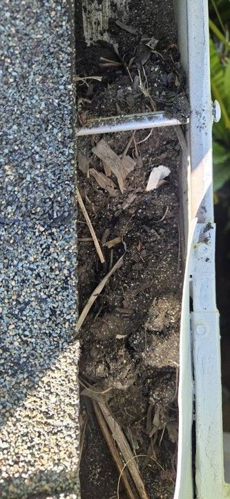 Close-up of a damaged curbside drain with dirt, debris, and cracked pavement alongside a road