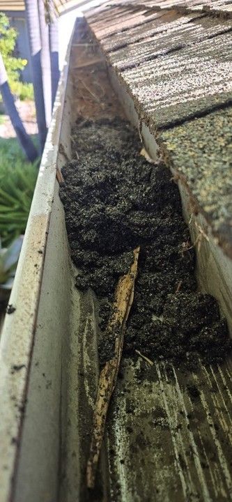 Close-up of a damaged wooden roof gutter filled with dark debris and moss.