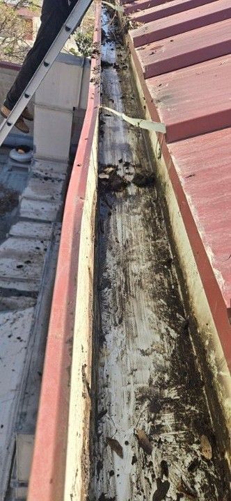 Narrow roof gutter clogged with dark debris between red corrugated metal roof panels.