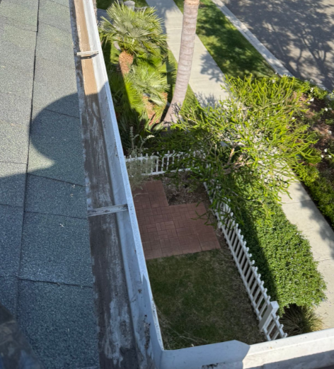 View from a rooftop beside a white railing, looking down on a small fenced yard with hedges and a palm tree.