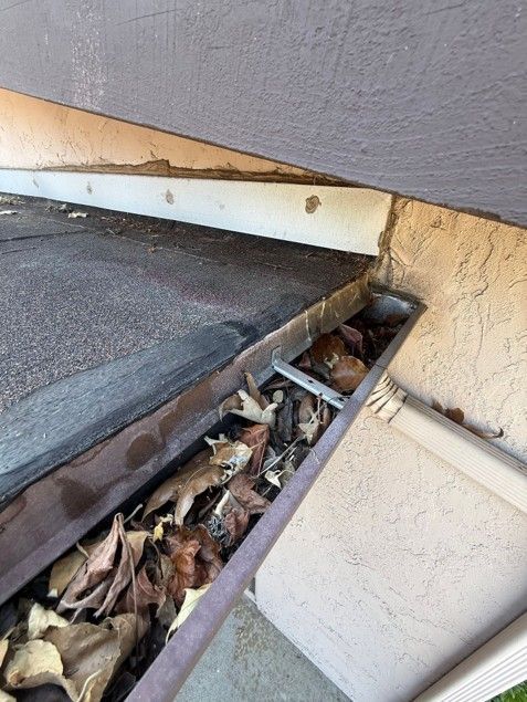 Close-up of a damaged roof gutter filled with dry leaves beside a wall and trim