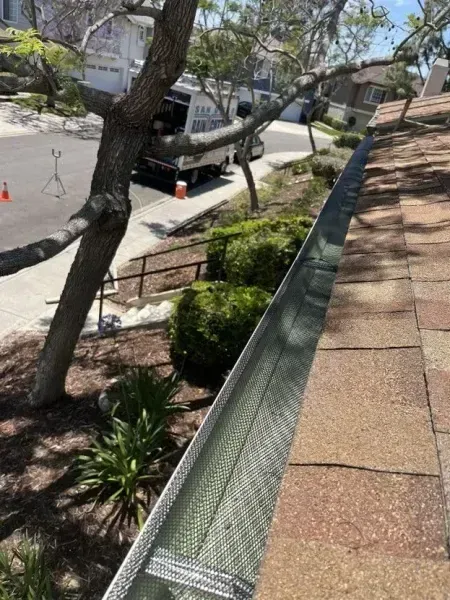 Rooftop view of a sloped shingle roof with a mesh gutter guard, tree, and sidewalk below
