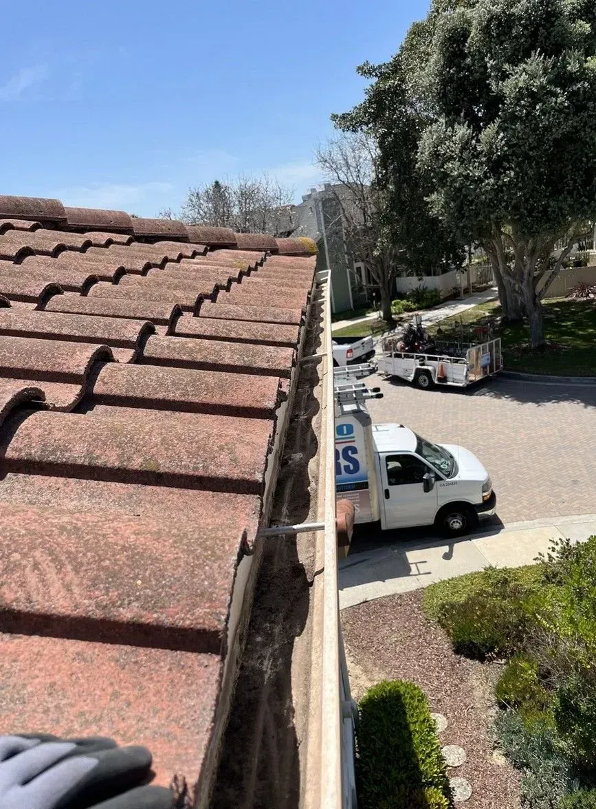 Rooftop view of a parking lot with white vans, trees, and a clear blue sky