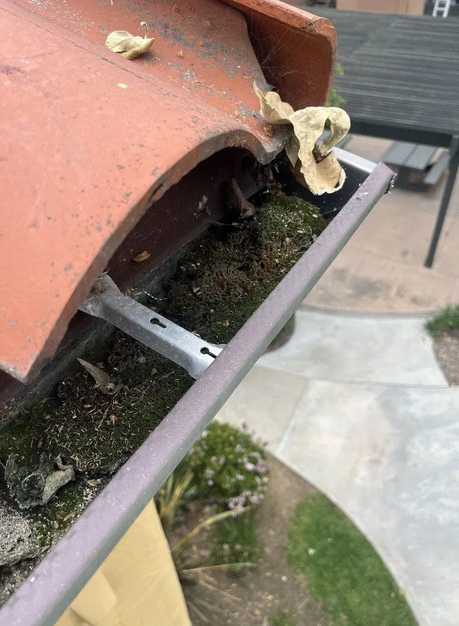 Close-up of a damaged terracotta roof tile over a gutter, with debris and moss buildup.